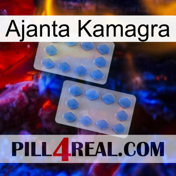 Ajanta Kamagra 20.jpg